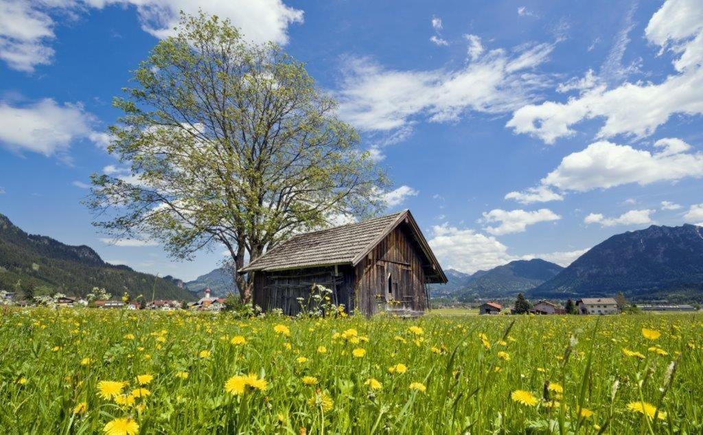 Chalet Mia in Wängle bei Reutte Exterior foto